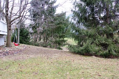 IMG_7229.JPG