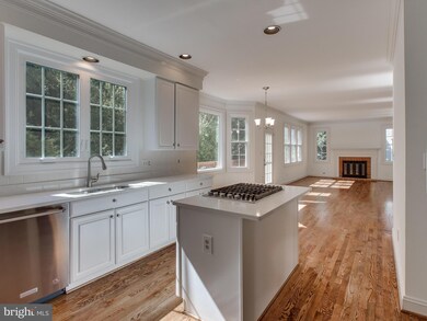 5807 Magnolia Ln, Falls Church, VA 22041 - photo 2