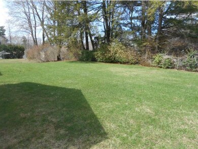 Pretty Backyard