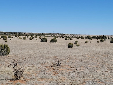 115 Brazos Loop, Estancia, NM 87016 - photo 2