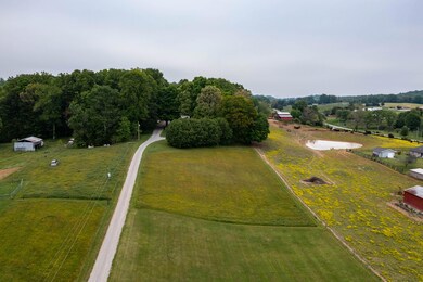 110 Tucker Hollow Rd W, Fall Branch, TN 37656 - photo 2