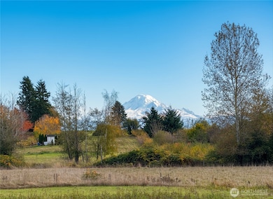 2988 Unick Rd, Ferndale, WA 98248 - photo 3