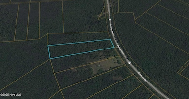 0 George II Hwy SE unit 100542718, Winnabow, NC 28479 - photo 2