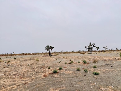 12452 Golden View Rd, Piñon Hills, CA 92372 - photo 5