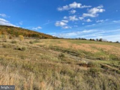 0 Shelby Trail, Paw Paw, WV 25434 - photo 7