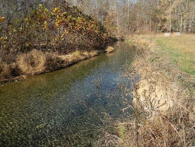 330 Cliff Ln, Tennessee Ridge, TN 37178 - photo 4