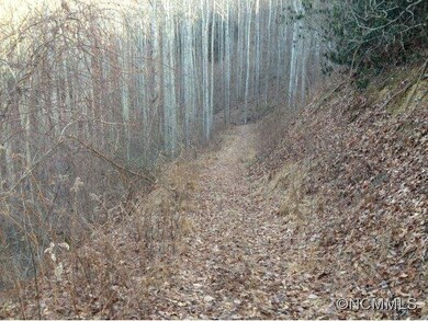 View down driveway