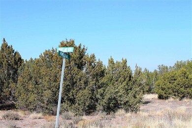 1731 Silver Lake Blvd, Show Low, AZ 85901 - photo 3