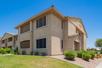 06 - Desert Foothills