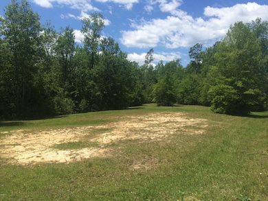 1016 W Mchenry Rd, McHenry, MS 39561 - photo 4