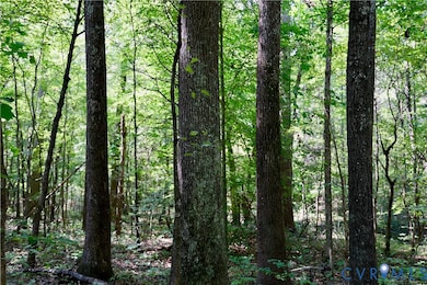 0 Bellevue Rd unit 2526138, Halifax, VA 24588 - photo 7