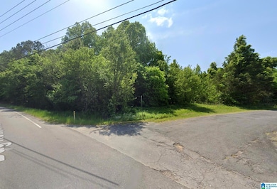 5317 Dug Hollow Rd, Pinson, AL 35126 - photo 3