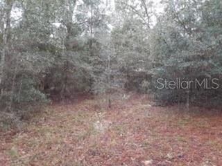 0 SW Sunnydale St, Dunnellon, FL 34431 - photo 2