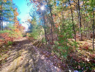 00 Cottage Ln, Brownfield, ME 04010 - photo 3