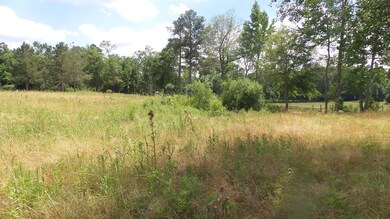 172 Dykes Rd, Soso, MS 39480 - photo 3