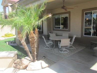 backyard2