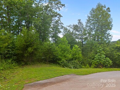 99999 Deer Jump Trail unit 348, Lake Lure, NC 28746 - photo 4