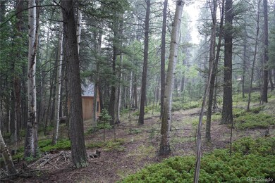 28 Feldspar Rd, Florissant, CO 80816 - photo 5