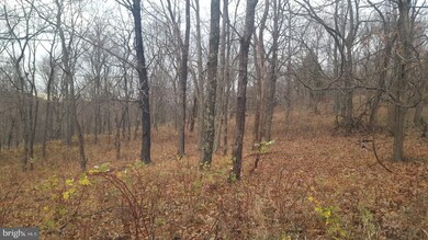 0 High View Rd unit WVHS114982, Purgitsville, WV 26852 - photo 6