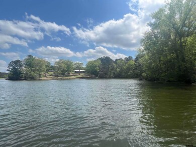 17946 Eastside Rd, Troup, TX 75789 - photo 3