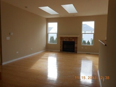 24245 Apple Tree Ln, Plainfield, IL 60585 - photo 3