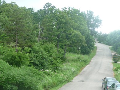 Tbd Oregon Ln, Ruth B Rural Township, MO 65686 - photo 4