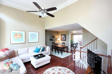 2406 Garnett Dr, Alexandria, VA 22311 - photo 4