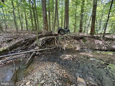 3515 B Clayton Rd, Joppatowne, MD 21085 - photo 3