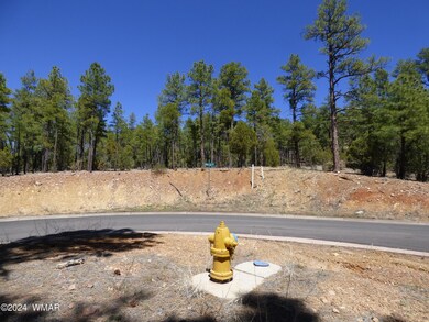 2401 S Hidden Ridge Trail (89)