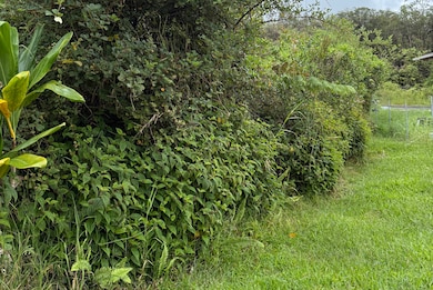 0 Hulu St, Mountain View, HI 96771 - photo 7