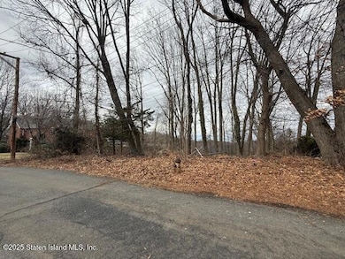 25 Coverly Ave, Staten Island, NY 10301 - photo 2