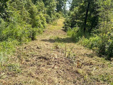 land for sale in thayer5