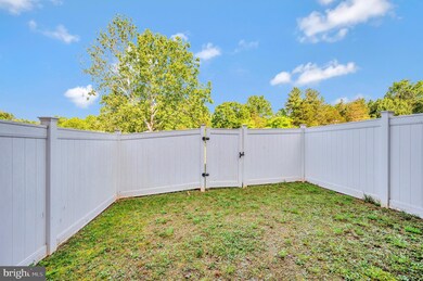 2138 Elm Tree Ct, Charlottesville, VA 22911 - photo 5