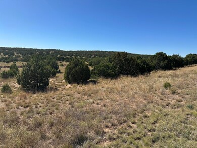 0 N Us-84, Las Vegas, NM 87701 - photo 3