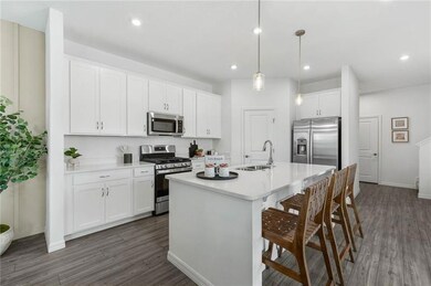 Kitchen with appliances with stainless steel finishes, dark wood-type flooring, an island with sink, white cabinetry, and recessed lighting