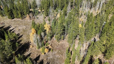 Aerial view of property and surrounding area with a heavily wooded area