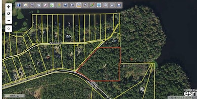 XXX Hopkins Landing Rd, Lake Talquin, FL 32351 - photo 2