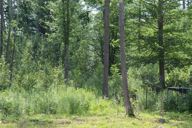 IMG_0794
