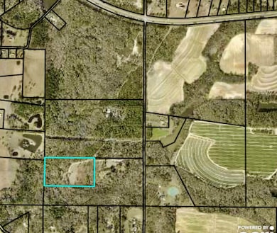 374 West Rd, Poulan, GA 31781 - photo 3