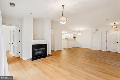 2155 Scotts Crossing Ct unit 303, Annapolis, MD 21401 - photo 4