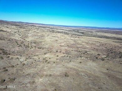 DJI_0004