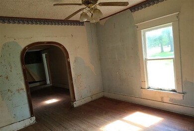 110 W Lithia St, Attica, IN 47918 - photo 2