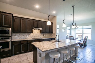 1236 County Road 4797, Springtown, TX 76082 - photo 7