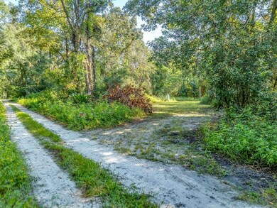 59 Andrew Ln, Crawfordville, FL 32327 - photo 3