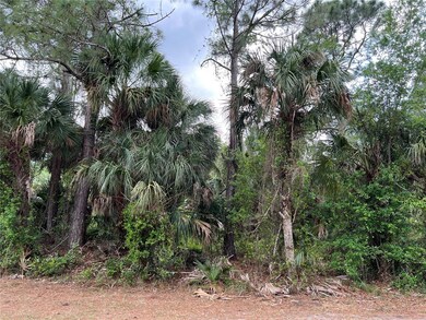 0 Vogler Ln unit C7458329, North Port, FL 34286 - photo 4