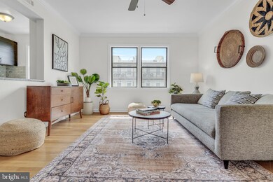 613 Hamlin St NE unit 11, Washington, DC 20017 - photo 4