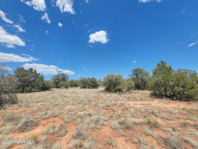 663 S Lodestar Dr, Valle, AZ 86046 - photo 4