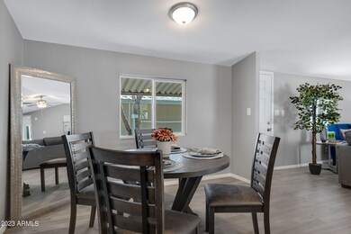 320 E McKellips Rd-20