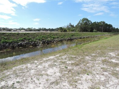 The canal attracts lots of birds, turtles, and fis