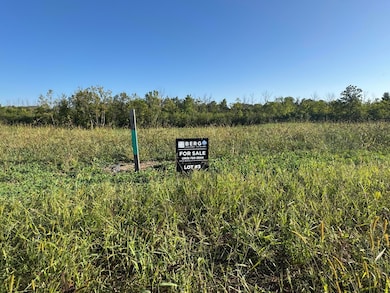 N51W18970 Quietwood Dr, Muskego, WI 53150 - photo 3